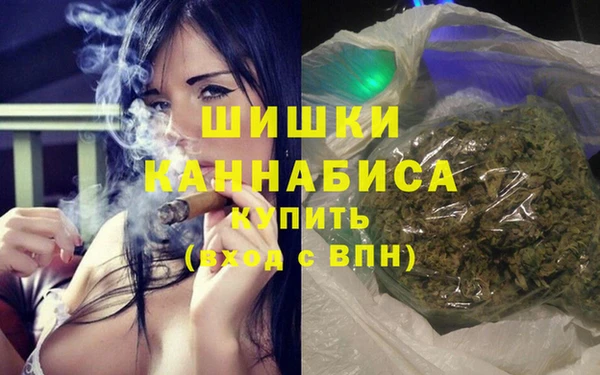 винт Бородино