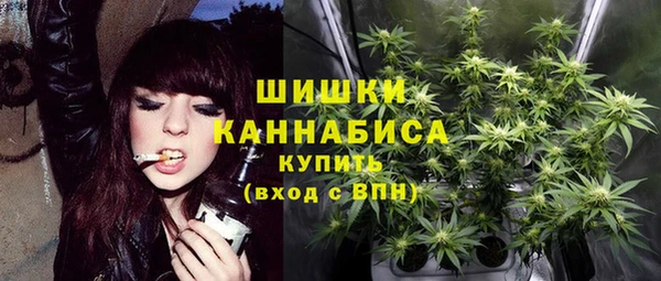 винт Бородино