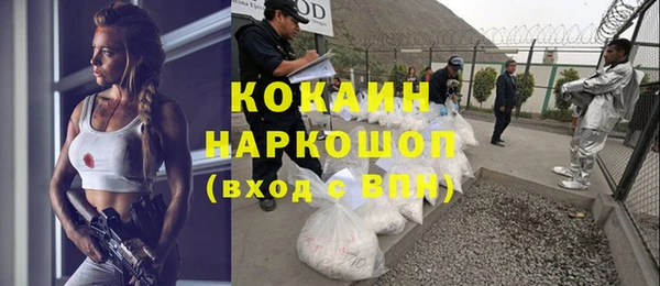 винт Бородино