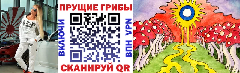 Галлюциногенные грибы Magic Shrooms  Купить  Красный Холм 